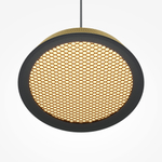 Подвесной светильник Maytoni MOD041PL-L15G3K