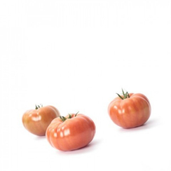 Ладога F1 семена томата индетерминантного (Rijk Zwaan / Райк Цваан)