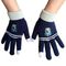 Əlcək Harry Potter (göy) Ravenclaw