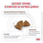 Royal Canin Gastro Intestinal Сухой корм для кошек для лечения заболеваний ЖКТ, 350гр