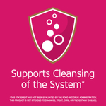 21st Century, травяной чай для снижения веса, клюква, без кофеина, 24 чайных пакетика, 48 г (1,7 унции)