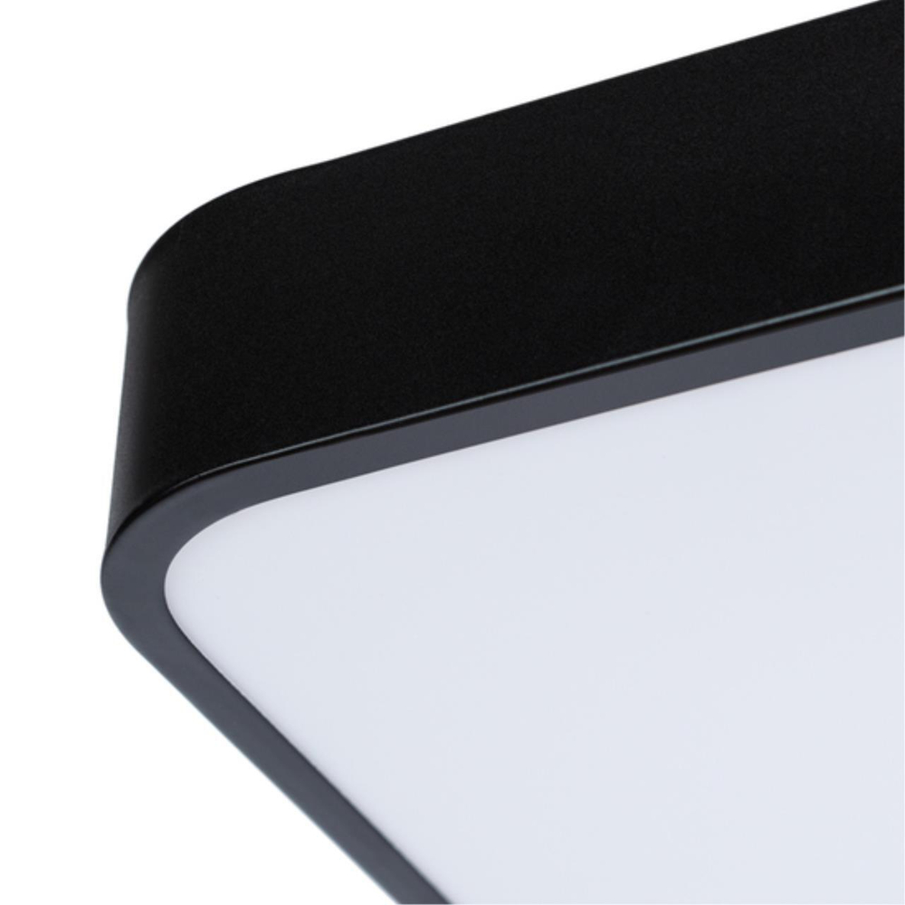 Потолочный светодиодный светильник Arte Lamp SCENA A2663PL-1BK