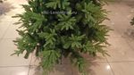 Искусственная ель "Форесто" (Литая+пвх) от 1,2 м до 2,4 м