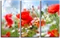 Модульная картина "Цветочная полянка"