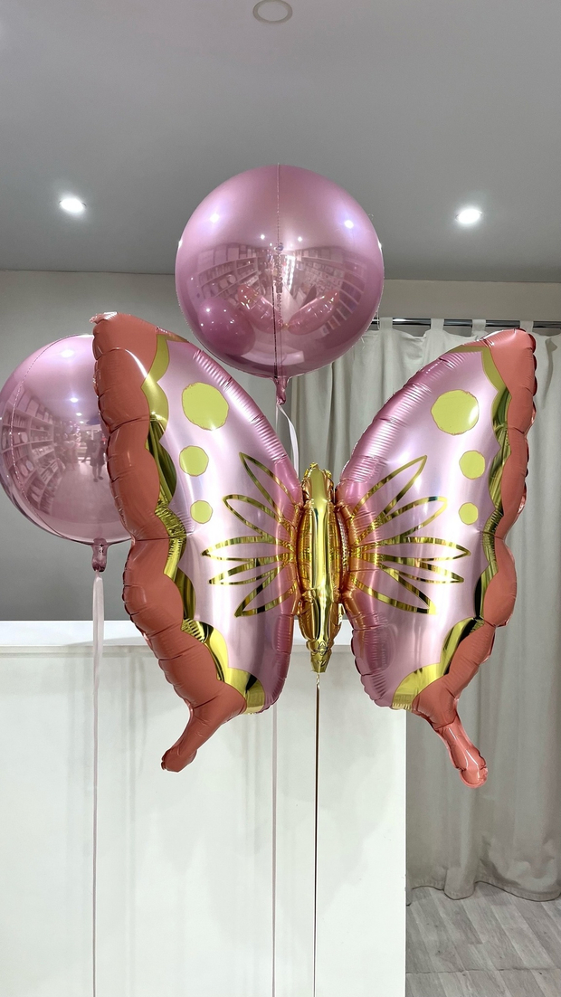 Шары для девочек №278