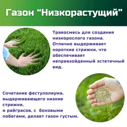 Семена газонной травы, травосмесь Низкорастущий газон, 1 кг/мятлик луговой, фестулолиум, райграс пастбищный, райграс однолетний, овсяница луговая/Газон Сити
