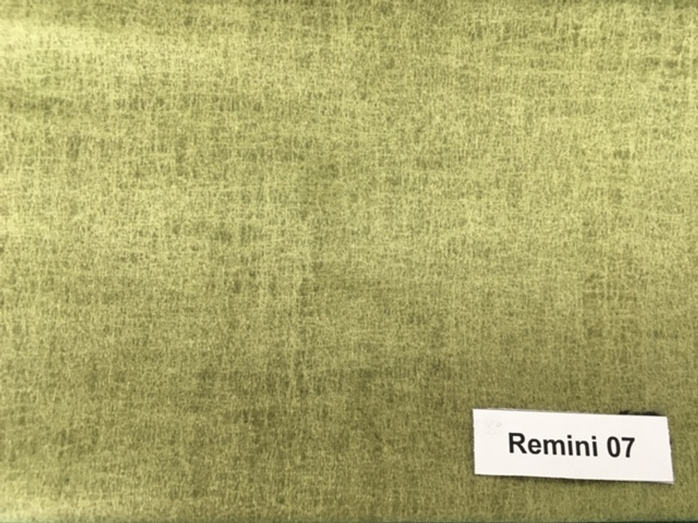 Remini 07