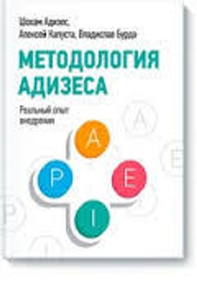 Методология Адизеса. Реальный опыт внедрения
