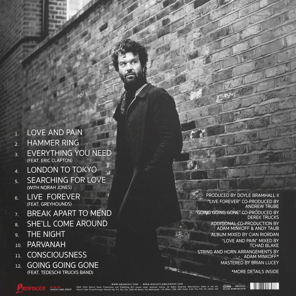 Doyle Bramhall II / Shades (2LP)