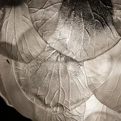 Подвесная люстра Arte Lamp KAPRI