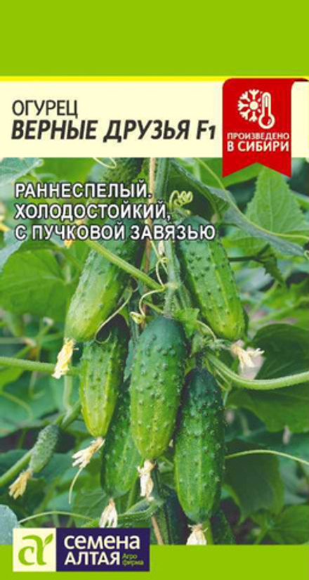 Огурец ВЕРНЫЕ ДРУЗЬЯ F1 цв.пак. 5шт. Семена Алтая