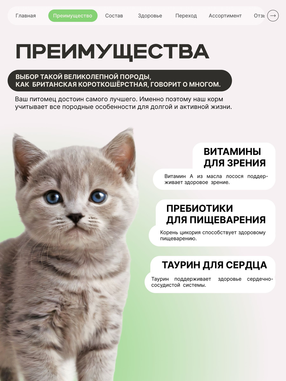 Корм сухой для котят породы Британская короткошёрстная, с ягненком, 400 гр, QUATTRO