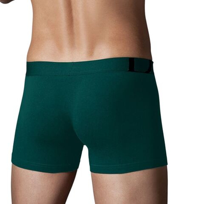 Удлинённые трусы-боксеры Doreanse Essential (Размер: L) (Цвет: изумрудный)