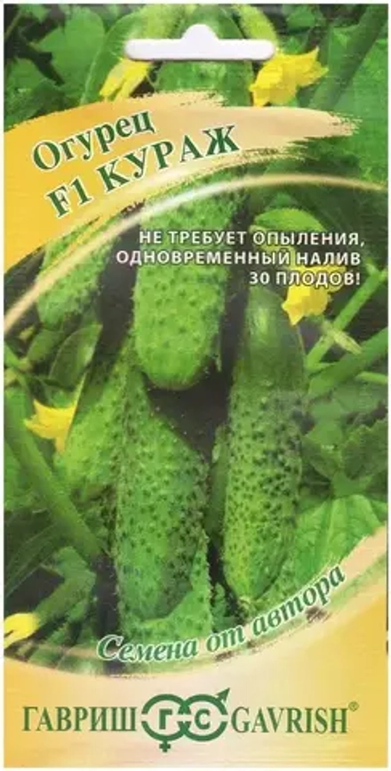 Огурец семена Кураж Гавриш 100=