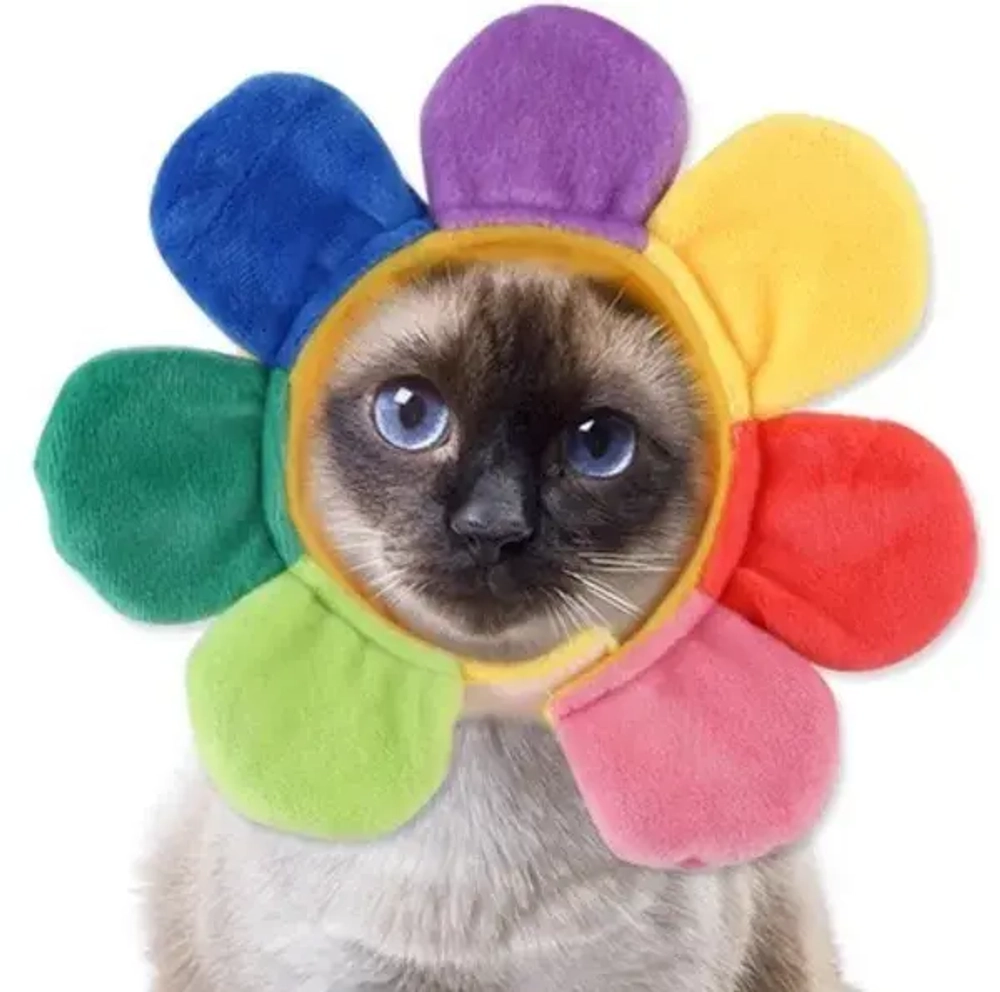 Шапка для собак и кошек «Ромашка», цвет как на фото, р S