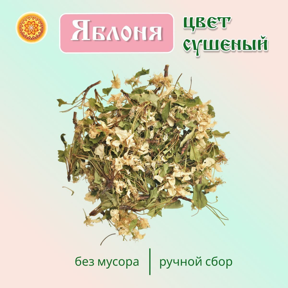 Яблоня цвет / цвет с листом.