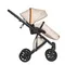 Коляска ANEX e/type 3 в 1 (et-SE04) joy