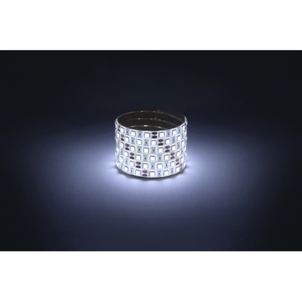 Светодиодная лента ЭРА LS5050-14,4-60-12-6500K-IP65-2year-5m холодный белый