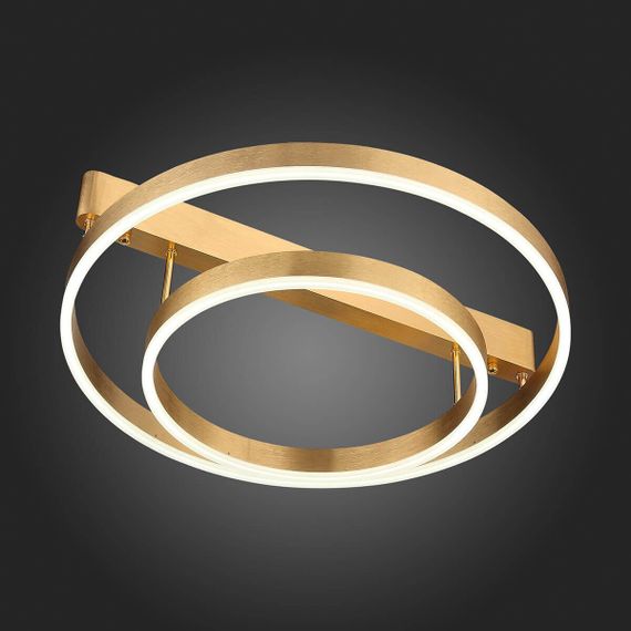 Потолочная светодиодная люстра ST Luce Onze SL944.202.02