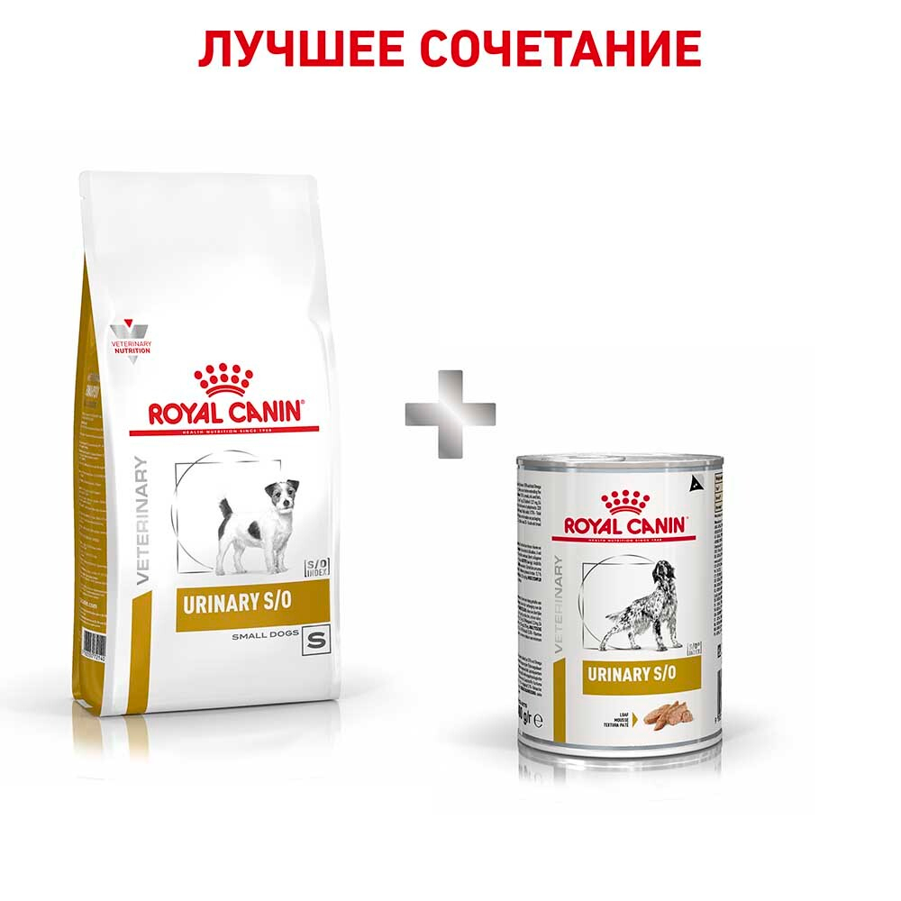 Royal Canin VET Urinary S/O Small Dog USD20 - диета для собак мини пород профилактика и лечение МКБ