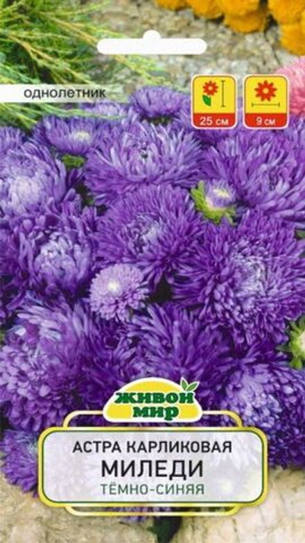 Астра карликовая "ЖМ. Mилeди тeмнo-cиняя" 0,3г., Польша.
