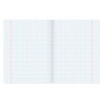 Тетрадь предметная УЧЕНЬЕ СВЕТ 48 листов, обложка картон, ОБЩЕСТВОЗНАНИЕ, клетка, подсказ, BRAUBERG ЭКО, 403525