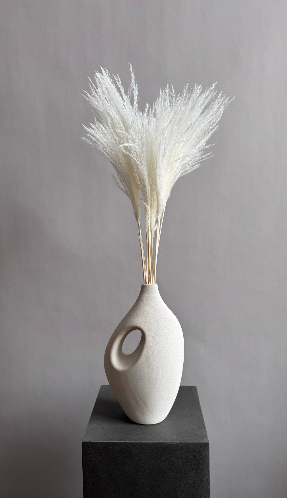 Мискантус белый