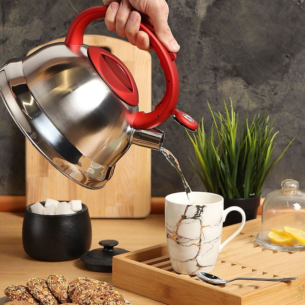 Чайник нерж, 3 л, свист, мат, ручк с силик покр, Daniks, красн, MSY-013R