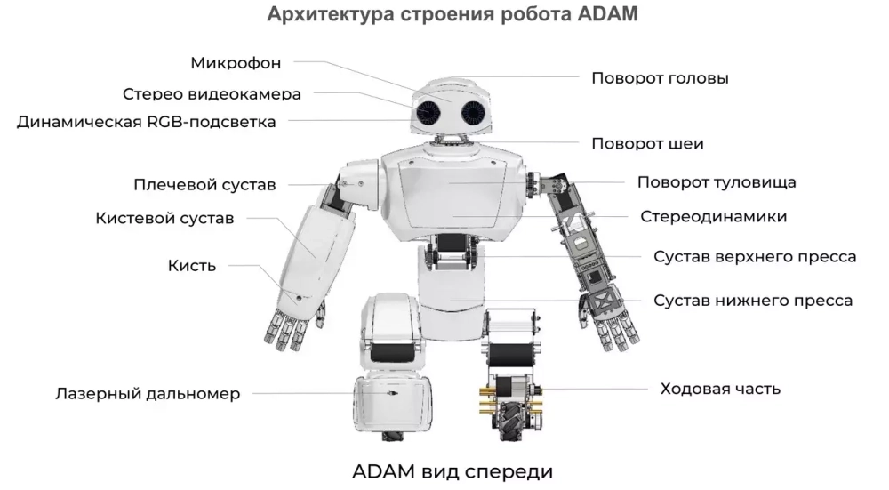 Персональный робот АДАМ v2.7.l