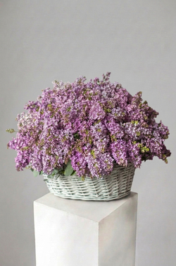 Корзина из сирени