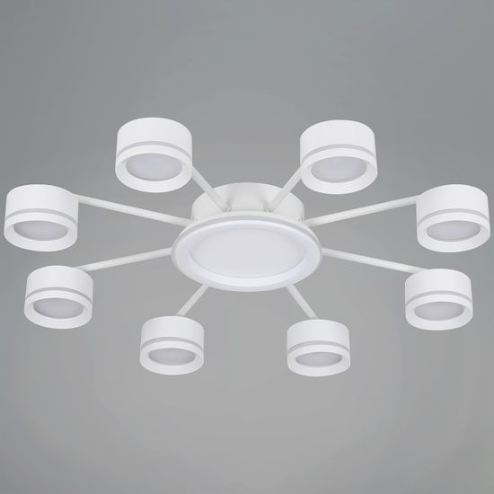 20590-0.3-8+1 White светильник потолочный