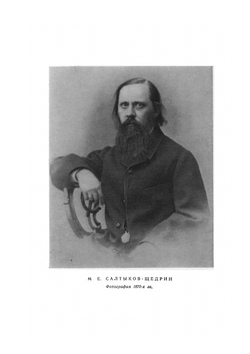 Собрание сочинений в 20 томах. Том 12 | М.Е. Салтыков-Щедрин