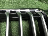 Решетка радиатора BMW X7 G07 (2019-2022)