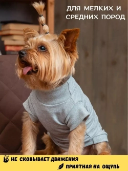 Футболка для собак мелких средних пород и кошек