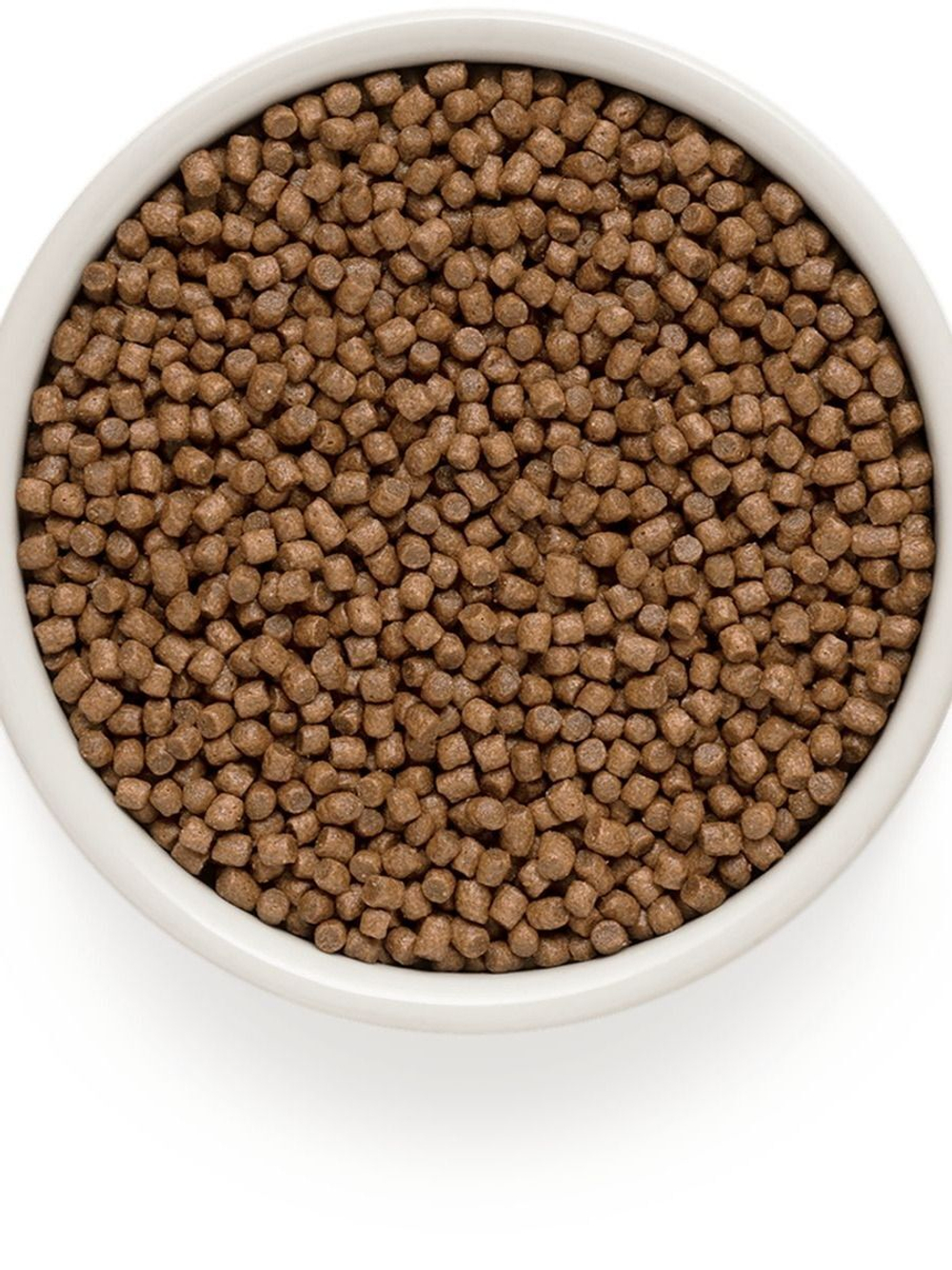 Grandorf Kitten корм сухой для котят ягненок с индейкой