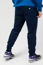 Штаны спортивные CODERED Basic Синие Темные