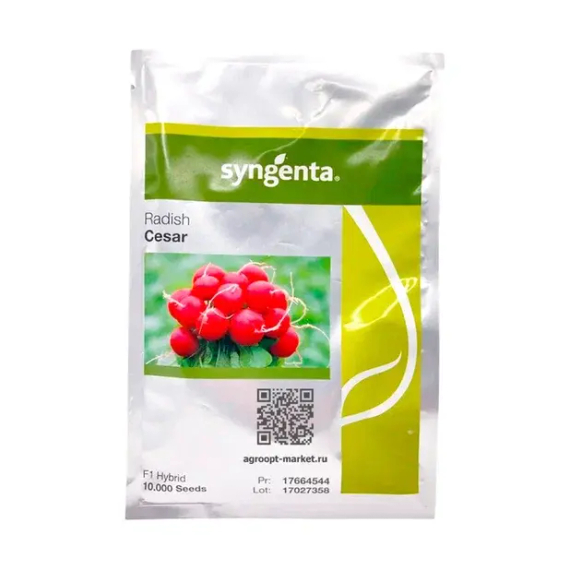 Сизар F1 семена редиса (Syngenta / Сингента) – фото 2