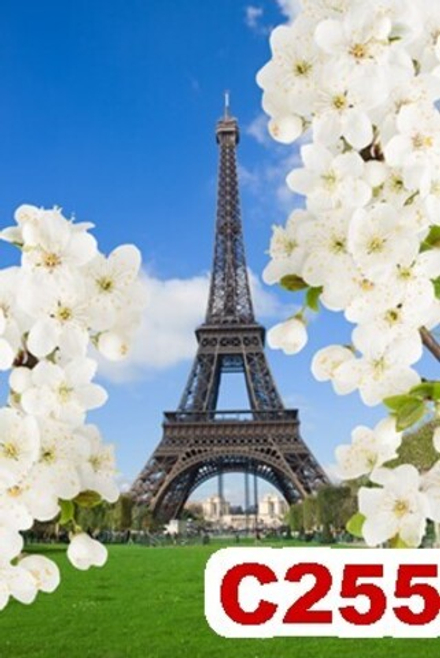 Фото обои - Города и страны С255