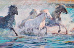 Коллекция Животные