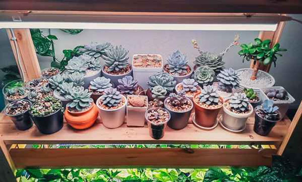 Фитолампа для растений линейная VA-2 90 см 15Вт