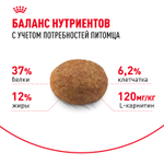 Royal Canin Sterilised 37 Стерилайзд Корм сухой для взрослых стерилизованных кошек в возрасте от 1 года до 7 лет 4кг