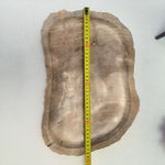 Набор из окаменелого дерева 4 предм Fossil Set NF-63068 поднос 27см*38см