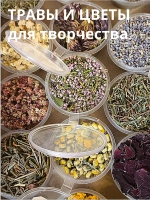 Набор сушеные травы и сухоцветы для творчества №1