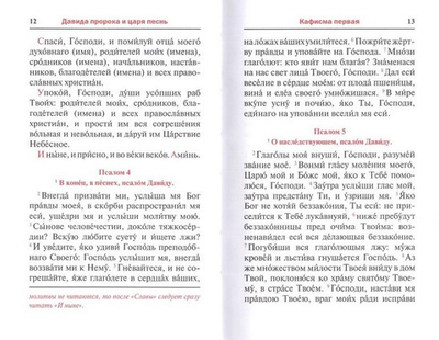 Псалтирь. Заупокойная лития мирским чином. Иные молитвословия