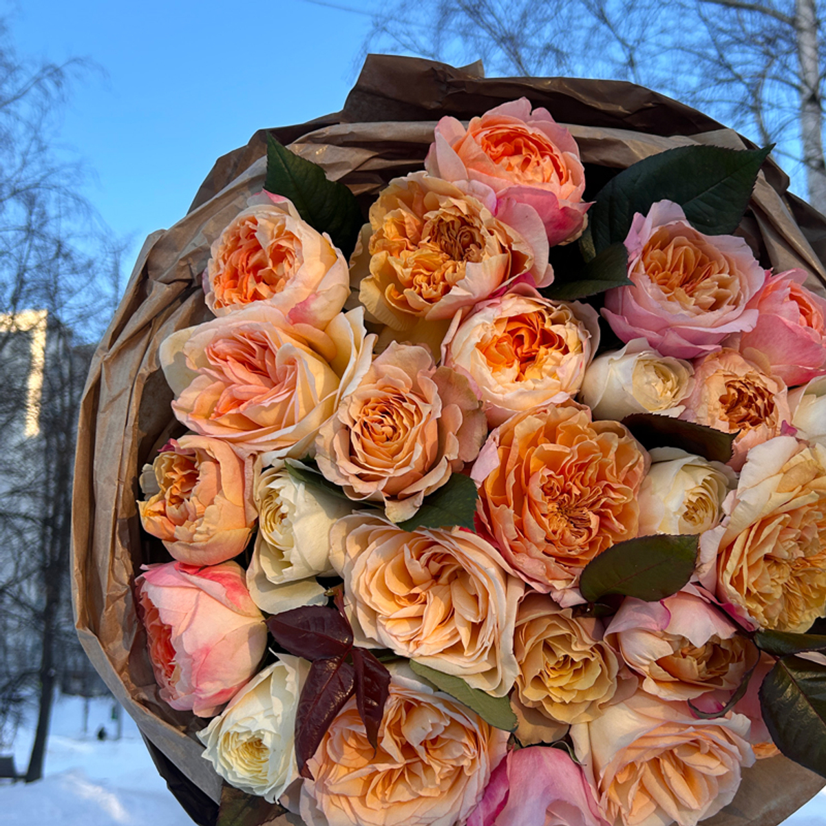 🌸 Персиковый микс — букет интерьерных садовых роз — 8 марта у Феи