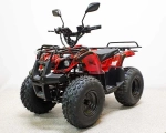 Электроквадроцикл Green Camel Атакама T120 (48V 800W R8 Цепь)