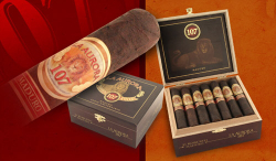 La Aurora 107 Maduro Robusto