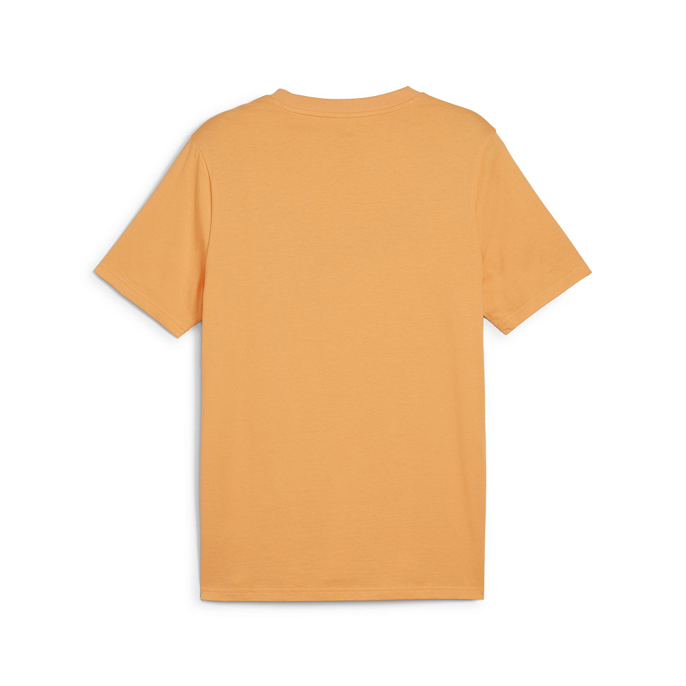 Мужская футболка PUMA DESERT ROAD Graphic Tee