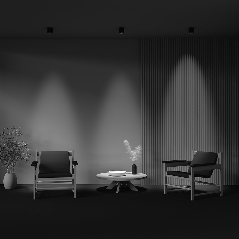 Светильник потолочный светодиодный Maytoni   C217CL-15W3K-B