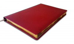 Ежедневник в линейку А4 Красный